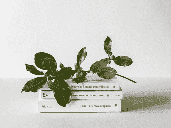 电话轰炸在线免费