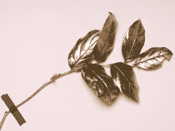 手机号在线轰炸测试